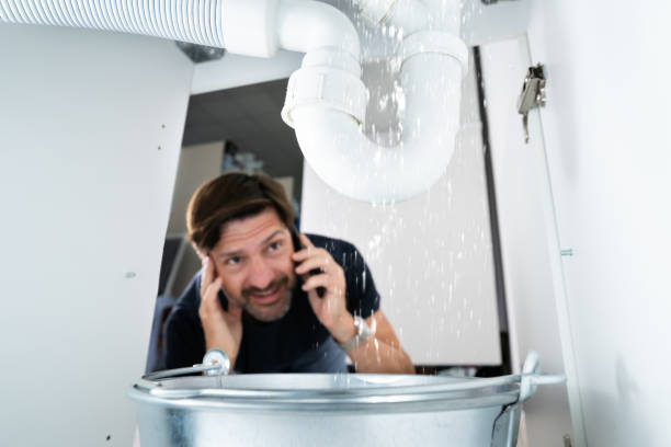 Best Affordable Plumber Near Me  in Chicago Ridge, IL