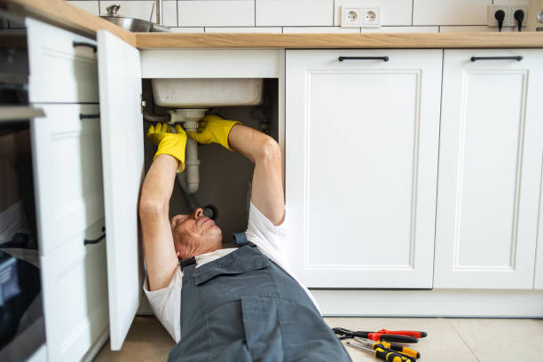 Best Sprinkler Systems  in Chicago Ridge, IL