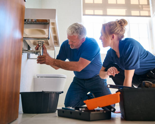 Best Affordable Plumbing Services  in Chicago Ridge, IL